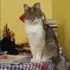 Отзыв от Анастасия Меркулова